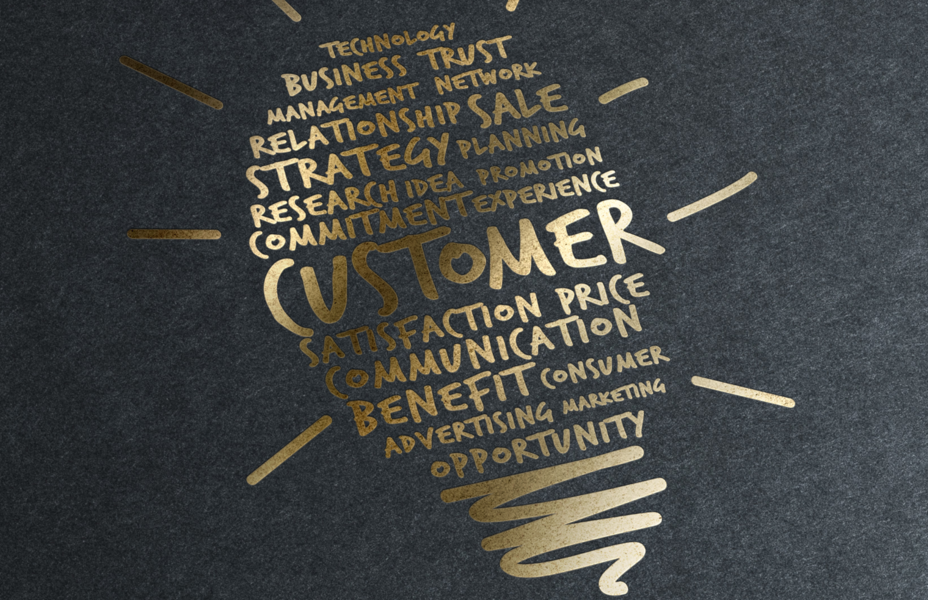 Dynamic Management of Insurance Contracts